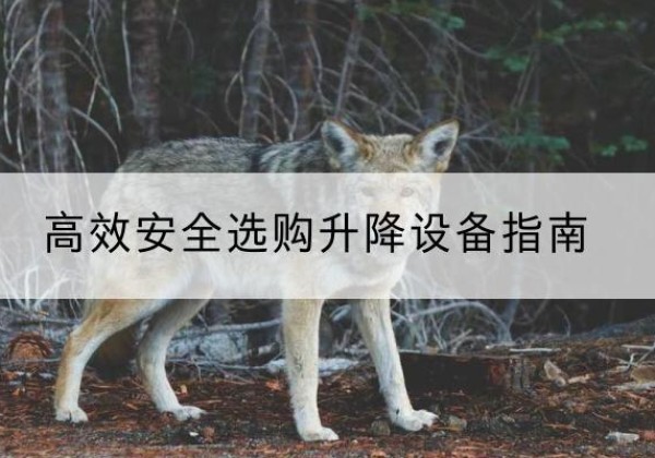 晋城升降货梯厂家推荐-*安全选购升降设备指南