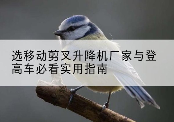 晋城电动升降机厂家-选移动剪叉升降机厂家与登高车必看实用指南