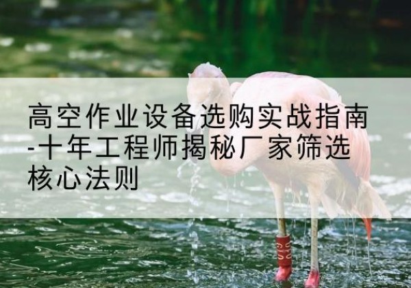 晋城剪叉式升降机厂家-高空作业设备选购实战指南-十年工程师揭秘厂家筛选核心法则